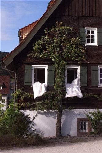 Gutshof-Hotel Waldknechtshof ไบเออร์สบรอนน์ ภายนอก รูปภาพ